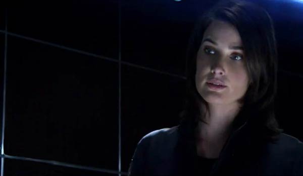 http://geekcity.ru/wp-content/uploads/2013/08/Agents-of-SHIELD-Maria-Hill.jpg